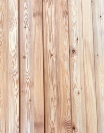 British Larch TGV